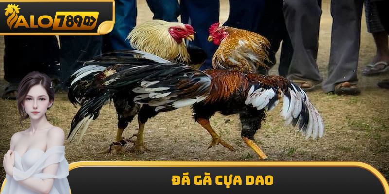 Đá Gà Cựa Dao ALO789 - Sân Chơi Hấp Dẫn Không Nhàm Chán