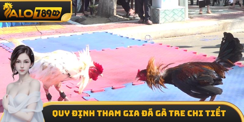 Quy định tham gia đá gà tre chi tiết nhất cho các tân thủ