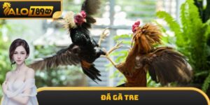 Đá Gà Tre - Loại Hình Giải Trí Cực Kỳ Hấp Dẫn Tại ALO789