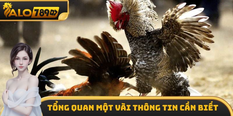 Những thông tin cơ bản cần nắm được về gà đá hầu kiềng