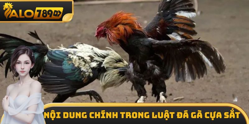 Những nội dung chính có trong luật đá gà cựa sắt