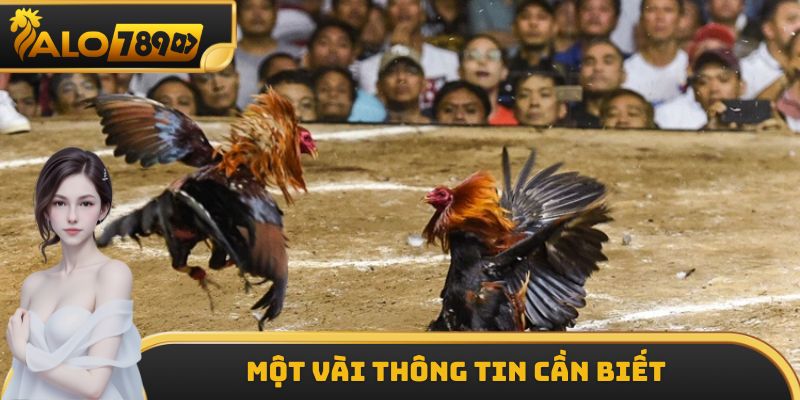 Tổng quan một vài thông tin về luật đá gà miền Nam